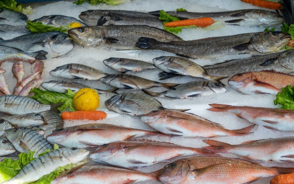 Ιχθυοπωλείο Καπετάνιος στην Ευκαρπία: Τα πιο φρέσκα ψάρια και θαλασσινά στο τραπέζι μας