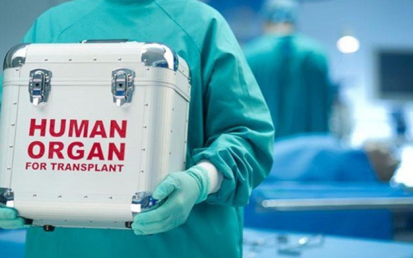 Δωρεά οργάνων: Αύξηση σε δότες και μεταμοσχεύσεις για 2η χρονιά - Τι έχει αλλάξει στη χώρα μας