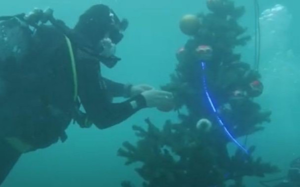 Στην Αλόννησο στόλισαν χριστουγεννιάτικο ΄δέντρο στο... βυθό  (βίντεο)