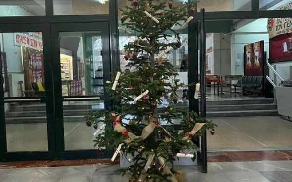 ΑΠΘ: Η Γεωπονία στόλισε δέντρο με καρπούς της φύσης και... της γνώσης (φωτ.)