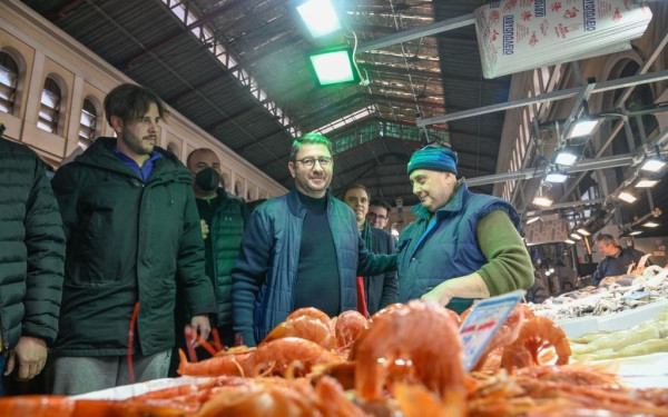 Ν. Ανδρουλάκης: Ο κ. Μητσοτάκης βαφτίζει λαϊκισμό ό,τι τον συμφέρει