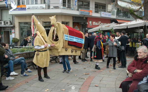 Θεσσαλονίκη: Ντύθηκαν καμήλες και χόρευαν στο δρόμο (φωτ.)