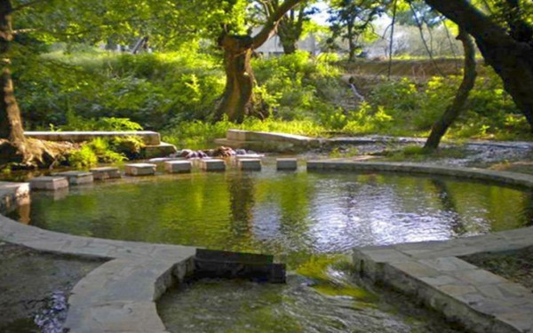 Λαμία: Ο «φτωχός» ομογενής που άφησε τεράστια περιουσία στο χωριό του στη Φθιώτιδα