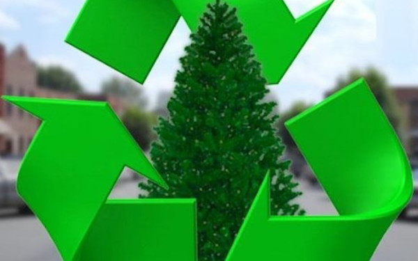 Η Θεσσαλονίκη ανακυκλώνει τα χριστουγεννιάτικα δέντρα -  Τα σημεία ανά δήμο