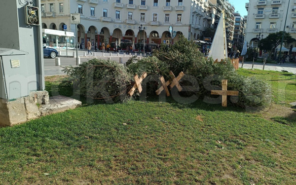 Θεσσαλονίκη: Στις 8 Ιανουαρίου ξεκινά η ανακύκλωση των χριστουγεννιάτικων δέντρων στον Δ. Πυλαίας - Χορτιάτη