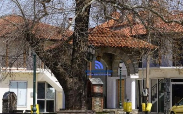 Χαλκιδική: Έρχεται η Τσιγαριδογιορτή στο Παλαιοχώρι 