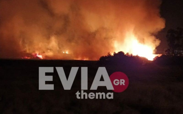  Εύβοια: Ανεξέλεγκτη καίει η φωτιά στον υδροβιότοπο Κολοβρέχτη στα Ψαχνά 