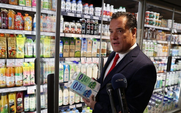 Καλάθι του νοικοκυριού: «Οδηγός ορθής χρήσης» από τον Άδωνι Γεωργιάδη