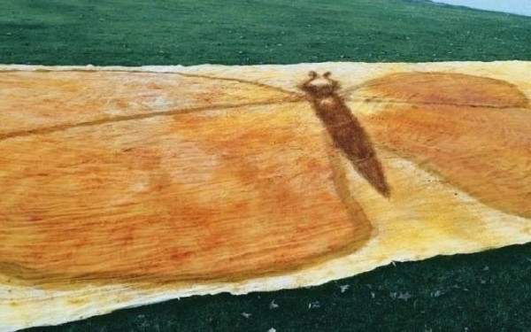 Καναδάς: Καλλιτέχνιδα καταρρίπτει το παγκόσμιο ρεκόρ Γκίνες για τον μεγαλύτερο πίνακα ζωγραφικής από μπαχαρικά!