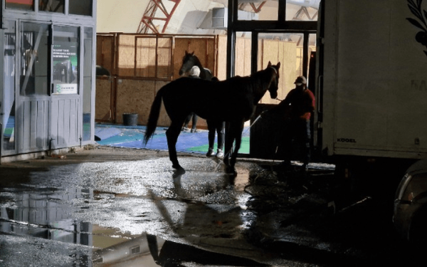 Βγαίνουν τα άλογα στους δρόμους της Θεσσαλονίκης αύριο το πρωί