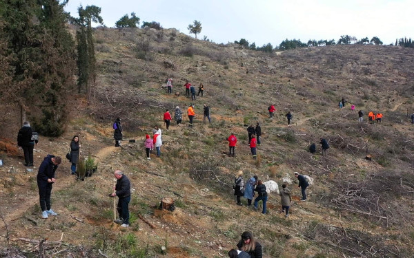 Κέδρινος λόφος: Εθελοντική αναδάσωση από τους «γαλάζιους» της πόλης - Δείτε φωτογραφίες