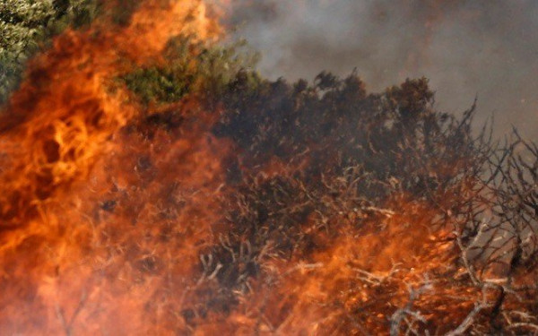 Πήλιο: Μεγάλη φωτιά στον Κισσό