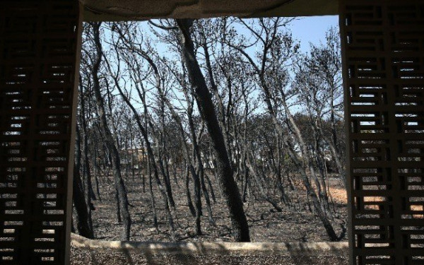 Δίκη για το Μάτι: «Οι αρμόδιοι επέδειξαν υβριστική συμπεριφορά στους νεκρούς. Κανείς δεν τους σεβάστηκε»