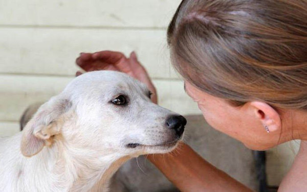 Δήμος Κορδελιού Ευόσμου: Πρόσκληση συμμετοχής στην ομάδα φιλόζωων εθελοντών 