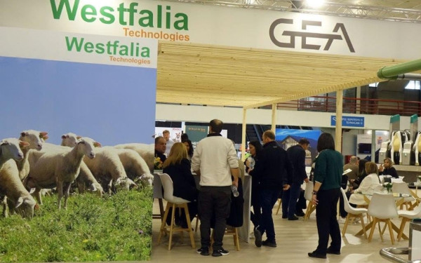 Θεσσαλονίκη: Σαλόνι αλόγου και pet festival κλέβουν την παράσταση στη Zootechnia 