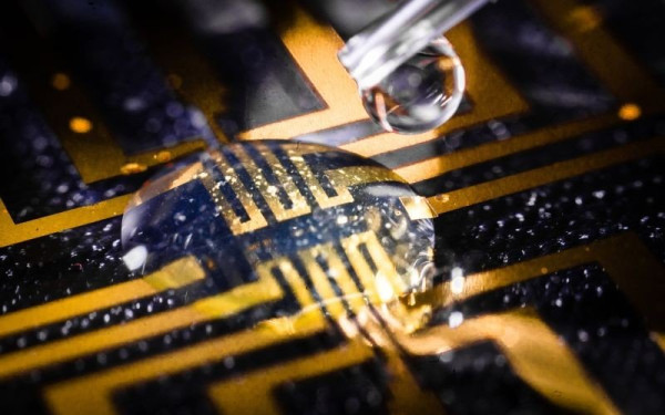 Σουηδία: Ερευνητές με επικεφαλής Έλληνα δημιούργησαν τα πρώτα αυτο-αναπτυσσόμενα βιοηλεκτρονικά μέσα στον εγκέφαλο 