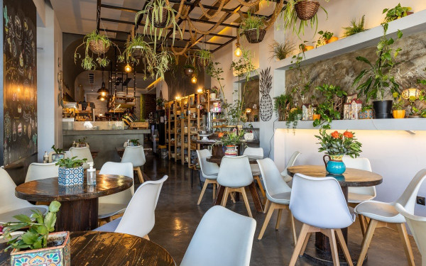 «Brunch Box»: Ολοήμερο brunch, με τις αγνότερες πρώτες ύλες, σε έναν εξειδικευμένο χώρο στη Θέρμη