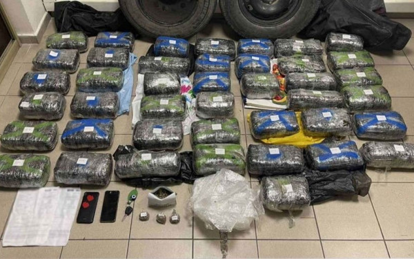 Έβρος: Η σκυλίτσα Λάικα εντόπισε κρυμμένα 27 κιλά κάνναβης