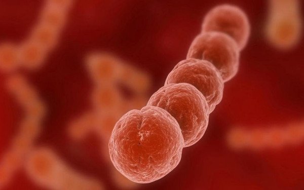 Ο πυογόνος στεπτόκοκκος και ο αναπνευστικός συγκυτιακός ιός από τις πιο συχνές αιτίες λοιμώξεων στα παιδιά