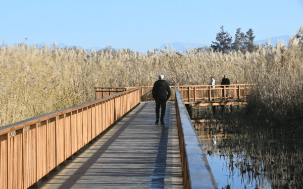 Πέρασε από το Ευρωκοινοβούλιο ο νόμος για την αποκατάστασης της φύσης
