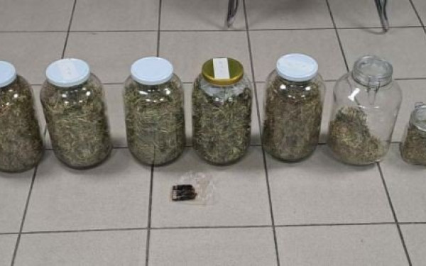 Ωραιόκαστρο: Συνελήφθη 48χρονος για καλλιέργεια κάνναβης (φωτ.)