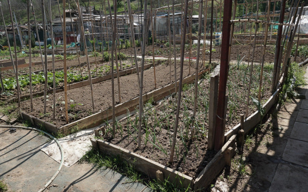 Δ. Νεάπολης Συκεών - Δημοτικοί λαχανόκηποι: Παράδειγμα προς μίμηση