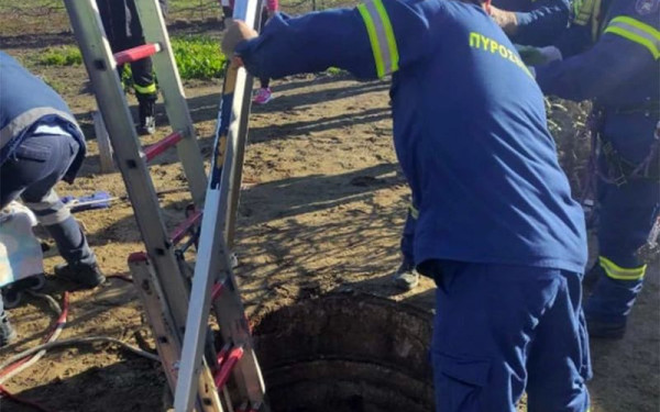 Άλογο έπεσε σε φρεάτιο 3 μέτρων στη Λάρισα: Συναγερμός για τον απεγκλωβισμό του