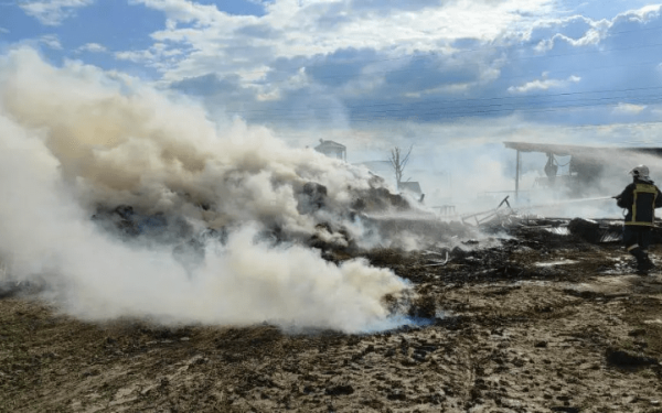 Κοζάνη: Ξέσπασε πυρκαγιά στα Πετρανά (βίντεο & φωτ.)