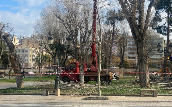 Θεσσαλονίκη: 14 συλλήψεις στην πλατεία Δικαστηρίων - «Πήραν σηκωτούς» διαδηλωτές κατά της κοπής δέντρων (βίντεο)