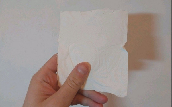 Χαρτί από βακτήρια δημιούργησαν Έλληνες επιστήμονες