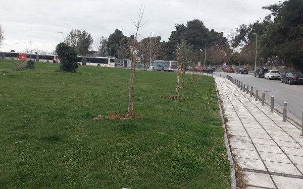 Θεσσαλονίκη: 50 δέντρα στη Νέα Ελβετία για εκείνους που έφυγαν – Εγκαινιάζεται το «Πάρκο Αναμνήσεων»