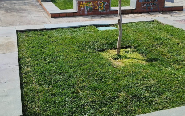 Δήμος Θέρμης: Παρεμβάσεις αναβάθμισης του αστικού πρασίνου σε Νέο Ρύσιο, Πλαγιάρι και Κάτω Σχολάρι (φωτ.)