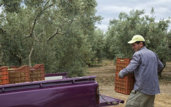 Εργάτες γης: Συστάθηκε αντιπροσωπεία για την ελληνο-αιγυπτιακή συμφωνία 