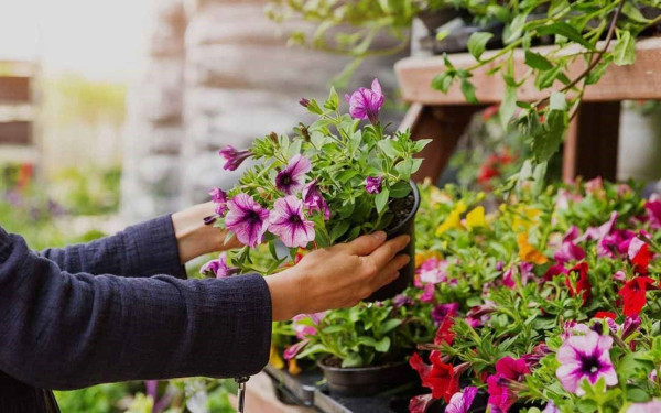 «Φυτώρια Λιθαρής»: Συνώνυμο της ποιότητας στα φυτά από το 1995