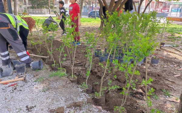 Δήμος Κατερίνης: Φύτευση δέντρων από εθελοντές στο Πάρκο των Ευαγγελικών (φωτ.)