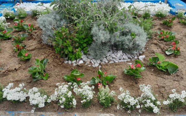 Πρασινίζει και γεμίζει λουλούδια  ο δήμος Νεάπολης-Συκεών