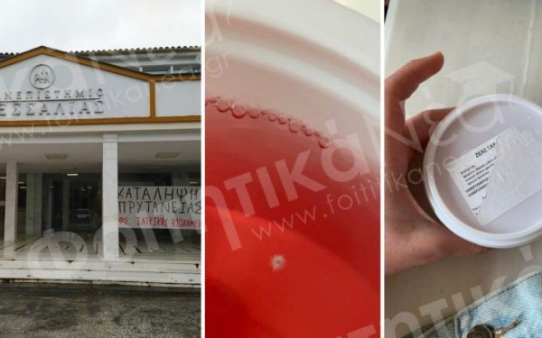 Πανεπιστήμιο Θεσσαλίας: Έδωσαν μουχλιασμένα τρόφιμα στους φοιτητές - Προχώρησαν σε κατάληψη