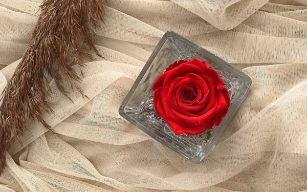 By KENTIA: Ένα ανθοπωλείο με φαντασία και άριστη τεχνογνωσία