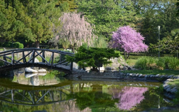 Δήμος Νάουσας: Δημοπρατήθηκε το έργο ευφυούς άρδευσης για την εξοικονόμηση νερού σε χώρους αστικού πρασίνου