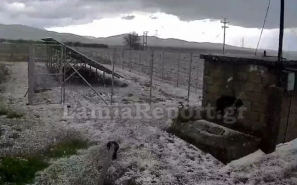 Σφοδρή χαλαζόπτωση στη Λαμία: Μέσα σε 4 λεπτά έγιναν όλα άσπρα (βίντεο)