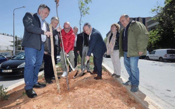 Στέλιος Αγγελούδης: «Η δέσμευση μας έγινε πράξη, η δενδροφύτευση ολοκληρώθηκε»