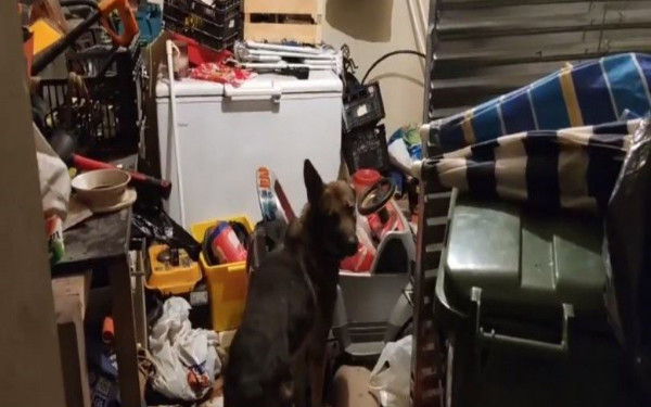 Θεσσαλονίκη: Ο «Victor» μύρισε ναρκωτικά σε παιδικό αμάξι (βίντεο)