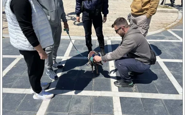 Θεσσαλονίκη: 66 πρόστιμα σε ιδιοκτήτες ζώων που δεν είχαν λουρί στον σκύλο τους