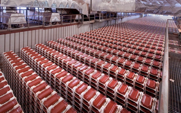 ΚΕΒΕ: Πρωταγωνιστεί διεθνώς στην «πράσινη» δόμηση (βίντεο)