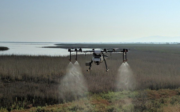 Ανησυχία για πρόωρη εμφάνιση του ιού του Δυτικού Νείλου και αύξηση κρουσμάτων λόγω των υψηλών θερμοκρασιών