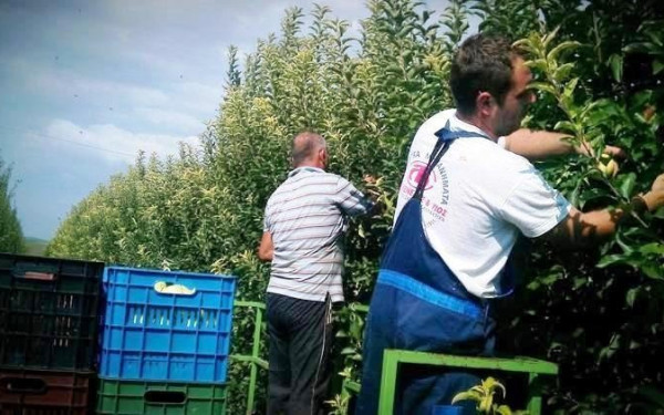 Έφτασαν οι πρώτοι εργάτες γης στην Ημαθία (βίντεο)