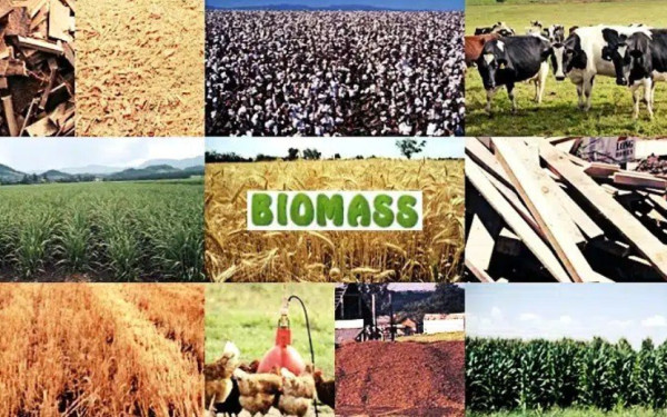 Στη Θεσσαλονίκη 200 σύνεδροι από την Ευρώπη, στη διάσκεψη κορυφής για τη Βιοοικονομία Τροφίμων