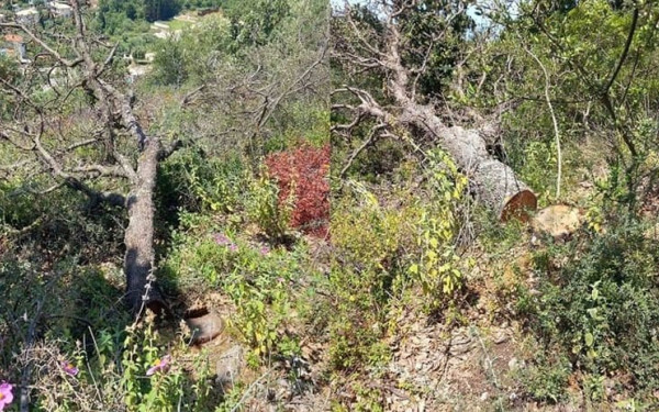 Δράμα: Πρόστιμο 400 ευρώ για κάψιμο ξερών χόρτων