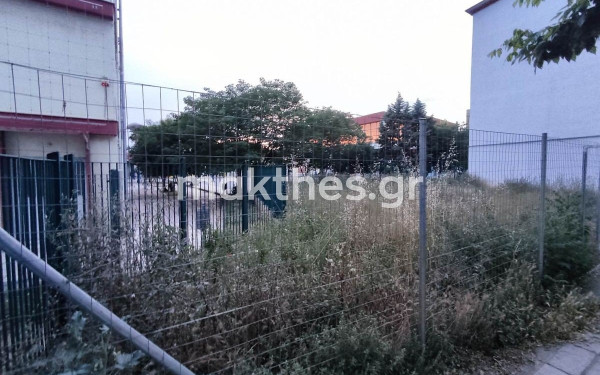 Μέτρα ασφαλείας στα σχολεία απαιτούν οι εκπαιδευτικοί μετά το φίδι στη δυτική Θεσσαλονίκη