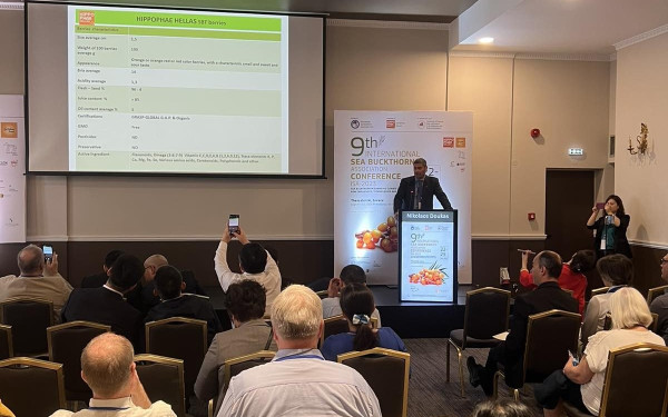 Θεσσαλονίκη: Στην Ελλάδα το ποιοτικότερο ιπποφαές στον κόσμο